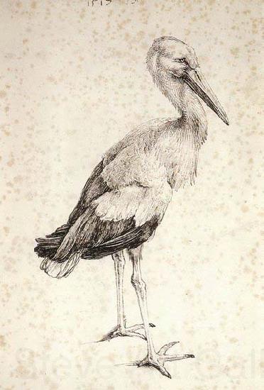 Albrecht Durer The Stork Norge oil painting art